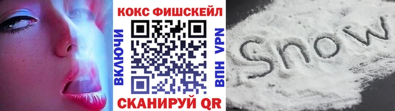 Кокаин FishScale  kraken как войти  Полесск  цена наркотик 